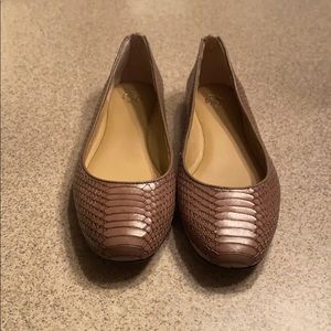 Ann Taylor Flats